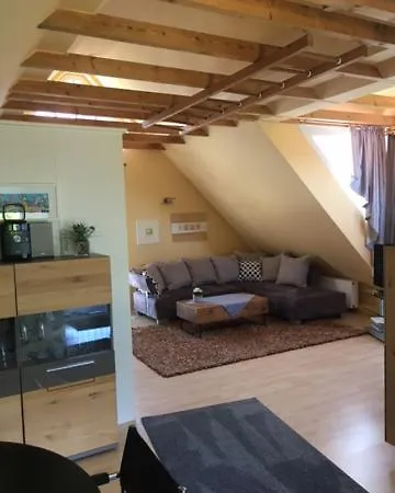 Stenzel 1 *